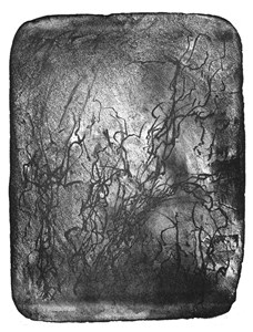 Černobílá fantazie