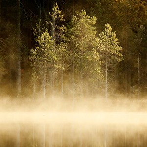 Ráno u jezera ve finské Tajze