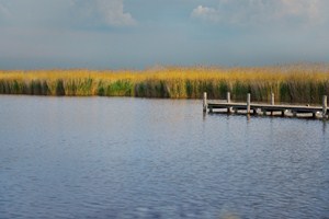 Neziderské jezero, Rakousko